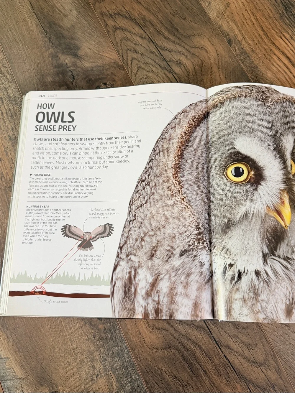 Smithsonian Explanatorium of Nature Illustrated Science Nature Book hardcover